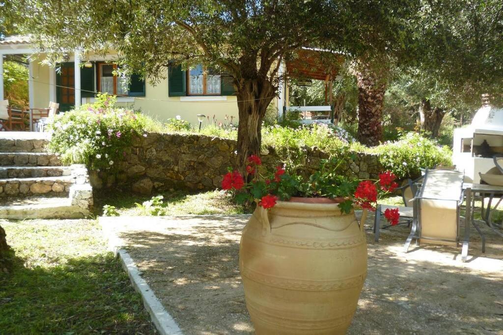 Stephanie Villa Palaiokastritsa